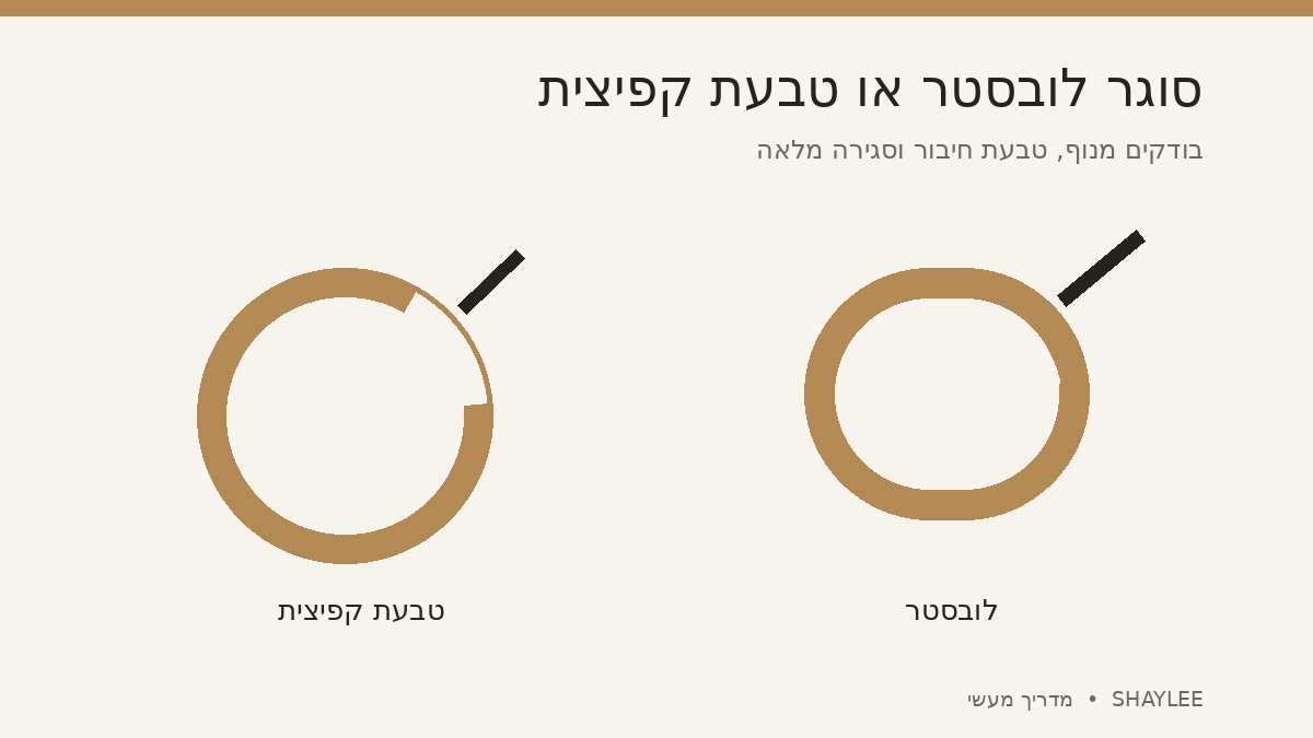 סוגר לובסטר או טבעת קפיצית: איור השוואה בין מנגנוני שרשרת